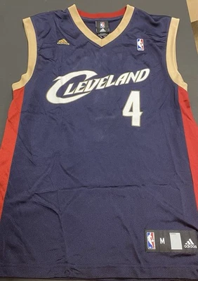 ANTAWN JAMISON CLEVELAND CAVALIERS REEBOK JERSEY MEDIANO ADORNO VINO Y ORO Foto 1 de 4