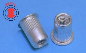 TSBS610, LFK tuerca de remache de aluminio tuerca de inserto de remache tuerca - M6X1.0 - 25 piezas - Imagen 1 de 1