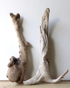 Treibholz Schwemmholz Driftwood 2 XL  Hölzer Terrarium Dekoration  46 cm - Bild 1 von 13