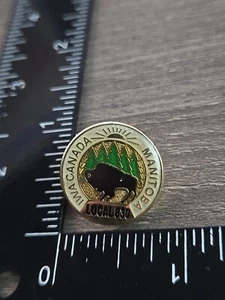 Pin de solapa Local 830 IWA Canada Union Bu - Imagen 1 de 2