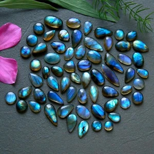 63 Pc 116 Ct Natural Labradorite Cabochon Loose Gemstone Lot 6x15-5x8mm #R-12198 - Picture 1 of 7