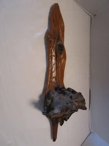 Vintage Zypresse Baumwurzel freie Form Wurzelholz Lebenskante Wanddekor 1960 24,25"T - Bild 1 von 11