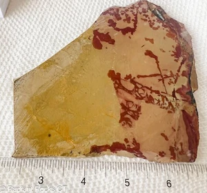 Owyhee Fiore Rosso Diaspro Lastra Lapidaria 5,8 once (175 grammi) - Foto 1 di 5