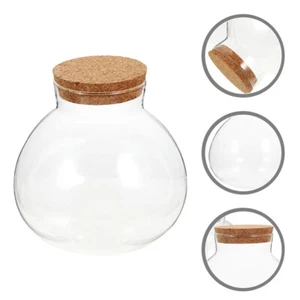 Cork Lid Planter Eco Bottle Terrarium Container Mini Potion Bottles with - Picture 1 of 12