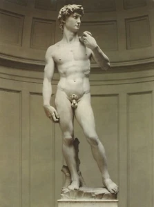 Michelangelo DAVID Firenze Accademia Firenze Scala colore libreria foto - Foto 1 di 3