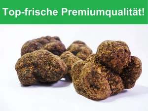 Trüffel 30g Top-frische Winter Trüffel Tuber indicum 1A ganze Top-Knollen ! - Bild 1 von 1
