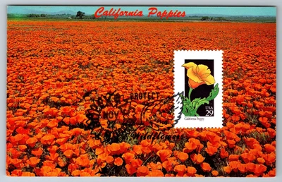 #2651 Wildflowers California Poppy Maxi Card w/Pictorial Cancel - Image 1 of 2
