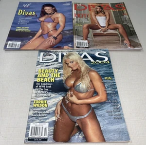 Huge Lot WWE Divas Undressed Beauties of Wrestling Women Raw Rare Photos - Picture 1 of 9