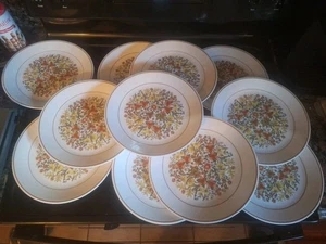 Lotto di 11 piatti Corelle Indian Summer in pensione 10 1/4 - Foto 1 di 2