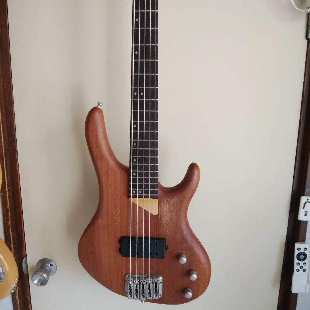 Washburn 5 String Bass Guitars for sale | eBay