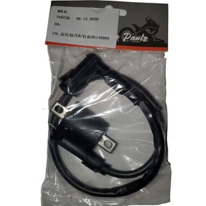Bobina de encendido de repuesto para mototec X1 X2 X3 X4 X5 gasolina moto de tierra - Imagen 1 de 1