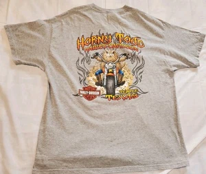 Camiseta Harley Davidson 2010 Horny Toad Temple Texas Loyal To 1 gris DS para hombre XL - Imagen 1 de 10