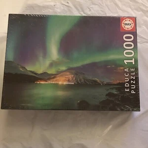 Educa Aurora Borealis 1000-teiliges Puzzle Nordlichter versiegelt Neu im Karton - Bild 1 von 2