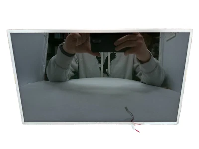 Toshiba Satellite L455D-S5976 OEM Replacement Screen B156XW01 - Image 1 of 4