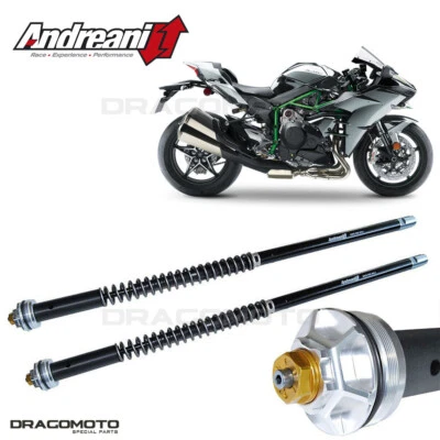 KAWASAKI H2 1000 Ninja 2017-2019 cartuccia ANDREANI 105/K35E MISANO EVO Foto 1 de 4