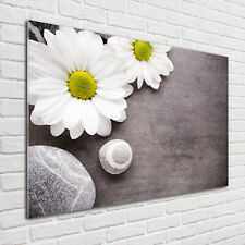 Wandbild aus Plexiglas® Druck auf Acryl 100x70 Blumen & Pflanzen Gerbera