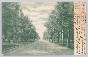 Houston Heights Boulevard Houston Texas TX 1907 Postkarte - Bild 1 von 2