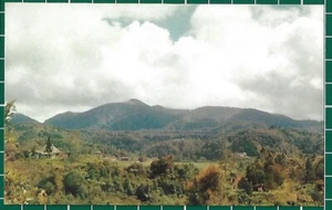 (CWC) Malaya 1950s/1960s Cameron Highland Pahang Postcard #3302 Near Mint - Picture 1 of 2
