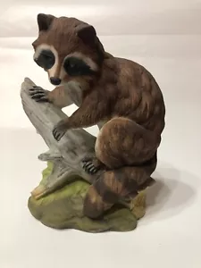Vintage Andrea by Sadek Made in Japan Raccoon #5619 - Picture 1 of 12