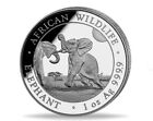 Srebrna moneta Słoń Somalia 2024 1 oz 999 Srebro 100 szylingów Afrykańska przyroda