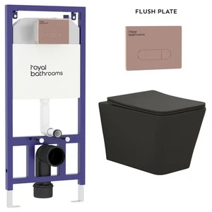 Elena Matt Black Wall Hung Toilet & Seat, Brushed Bronze Plate Wall Hung Frame - Picture 1 of 20