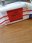 100 LIVE INSECTS HANDLE WITH CARE 4x3 Warning Sticker Label fluorescent red big