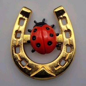 Vintage Ladybug Horseshoe Scatter Pin Brooch Gold Tone Lucky Bug Beetle Acrylic - Picture 1 of 6