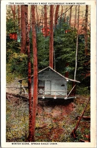 THE SHADES Summer Resort SPREAD EAGLE CABIN Winter Scene INDIANA IN Postcard - Picture 1 of 2