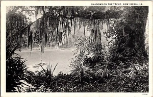 SHADOWS ON THE TECHE, NEW IBERIA, Louisiana Boat Vintage Postcard KC13 - Picture 1 of 2