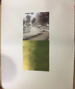Original Artwork By B. Martin “Compelling Technique” Signed - Picture 1 of 12