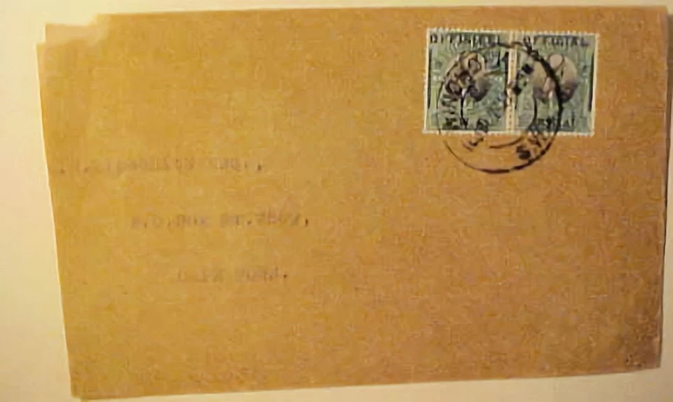 GIBÕES OFICIAIS DO SUDOESTE DA ÁFRICA # 05 GATO 195 EUROS US$ 300 10 JY 1929 WINDHOEK - Imagem 1 de 1