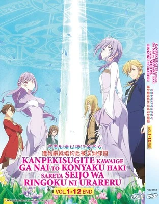 DVD ANIME KANPEKISUGITE KAWAIGE GA NAI TO KONYAKU HAKI VOL.1-12 FINAL + ENVÍO GRATUITO Foto 1 de 4