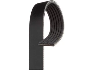 Multi Rib Belt For 13-20 Nissan Rogue Altima 2.5L 4 Cyl GAS MM84T2 Gold -- New - Picture 1 of 1