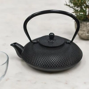 Black Cast Iron "Ushirode Kyusu" Japanese Style Teapot - Picture 1 of 6