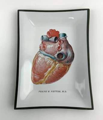 Frank Netter Ciba collection tray dish heart - Image 1 of 4