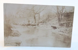 Along The Bloomsbury New Jersey Musconetcong Vintage Postcard RPPC Black & White - Picture 1 of 3