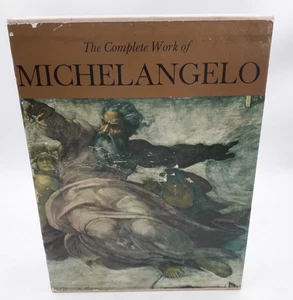 Vintage The Complete Work of Michelangelo Books By Macdonald & Co Hardback 1966 - Picture 1 of 21