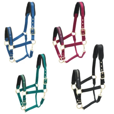 Kieffer Stallhalfter COLLECTION - Bild 1 von 4