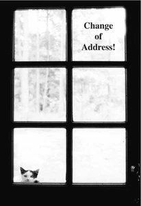 MOVING ANNOUNCEMENTS -Set of 10- Change of address postcards 519CAS I've Moved! - Picture 1 of 2