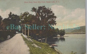 Otsego Lake NY - SHORE ROAD AT THREE MILE POINT - Postcard - Picture 1 of 2