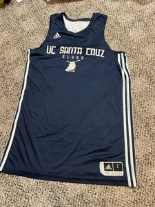 UC Santa Cruz Slugs Basketball Jersey L Banana Nike reversible practice Issued - Picture 1 of 5