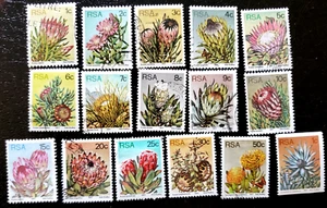 16 Briefmarken Südafrika - Lot#16o (Disteln, Blumen) - Bild 1 von 1