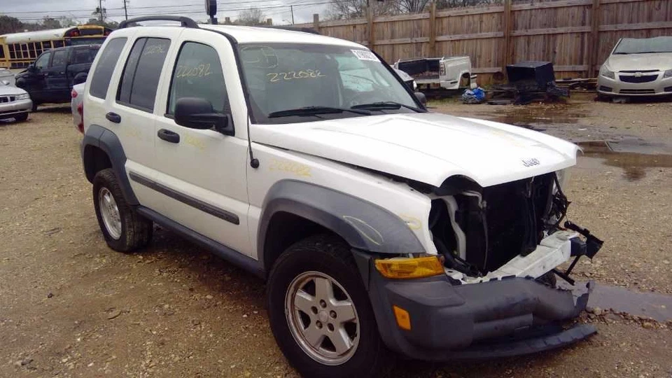 (LOCAL PICKUP ONLY) Rear Back Door Fits 03-07 LIBERTY 541313 Foto 1 de 4