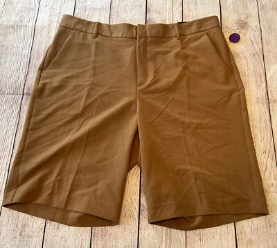 Shorts social feminino Worthington marrom Hudson novo com etiquetas - Imagem 1 de 4