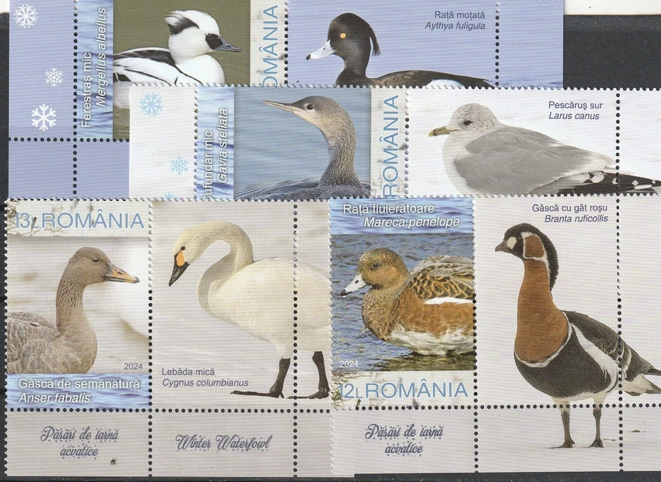 SELLOS DE RUMANIA 2024 AVES DE INVIERNO POST ETIQUETAS MNH Foto 1 de 1