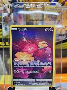 Comfey GG14/GG70 - Pokemon TCG Crown Zenith (2023) - Neuwertig - Holo - Bild 1 von 3