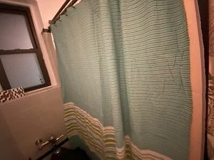 West Elm Green Striped Shower Curtain, Liner, & Shower Rings - Picture 1 of 12