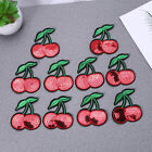  10 Pcs Girl Stickers Red Cartoon Fruit Patch for Jackets Shirts Skirts