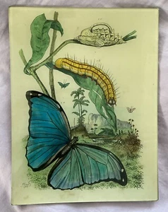 JOHN DERIAN MORPHO SCHMETTERLING TABLETT 8” X 10,5” SIGNIERT, EINMALIG - Bild 1 von 2