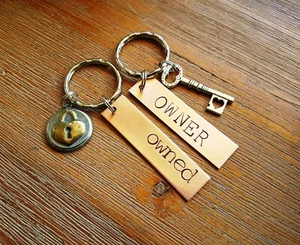 Owned and Owner Keychain Set BDSM ddlg Master slave Dom sub Sir kitten padlock - Picture 1 of 5